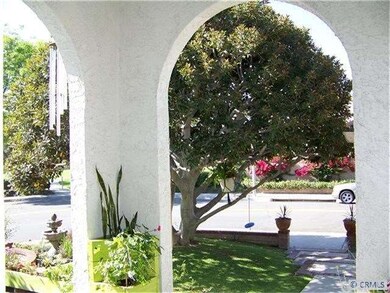 Looking Out From The Front Door
