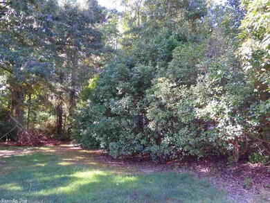 411 W 11th St, Sheridan, AR 72150 - photo 3