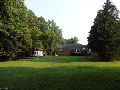 back yard