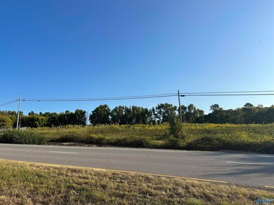 2 acres +/- Highway 231, Laceys Spring, AL 35754 - photo 4