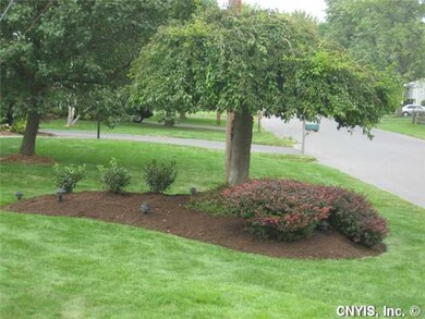 Yard/Garden