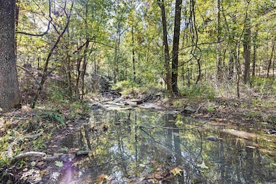 0 Arkansas 155, Dardanelle, AR 72834 - photo 5