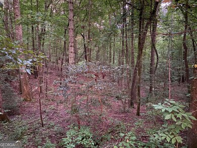 0 Whitecliff Dr unit 10371196, Ellijay, GA 30540 - photo 2