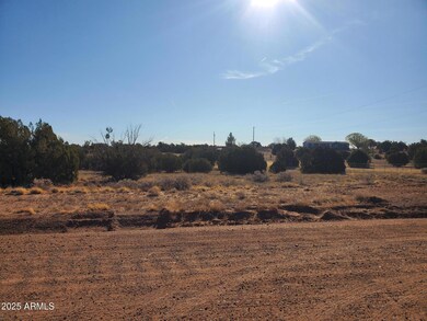 3933 view from road