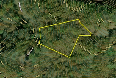 Lodge, Marshall, NC 28753 - photo 5