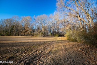 81-web-or-mls-280 McCullough-71