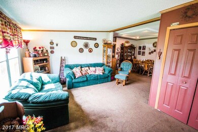 4499 Stonewall Jackson Hwy, Bentonville, VA 22610 - photo 7