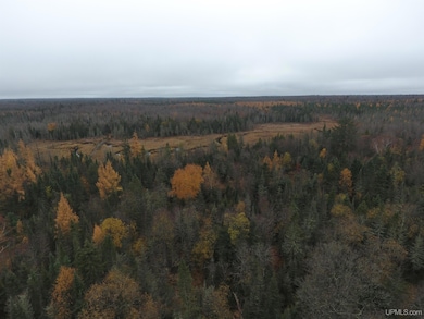 19495 S Nestoria Rd, Michigamme, MI 49861 - photo 4