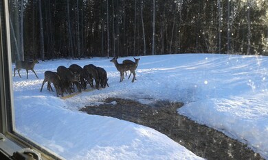 5. Occasional Visitors.