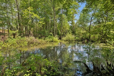 2611 Highway 48 S, Dickson, TN 37055 - photo 7