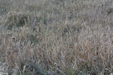 0 State Highway D, Clearmont, MO 64431 - photo 6