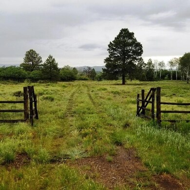 Lot 35 Gate entrance