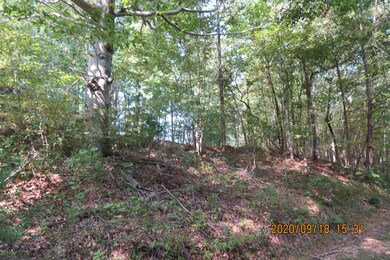 257 Selph Rd, Stewart, TN 37175 - photo 2