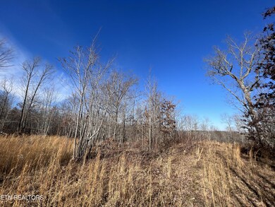 Lot J McCartt Ridge Ln, Sunbright, TN 37872 - photo 5