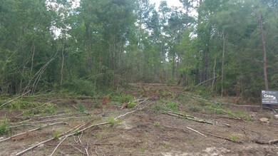 0 Tbd Little Happy Lane Lot 70 unit 2-5048, Deridder, LA 70634 - photo 2