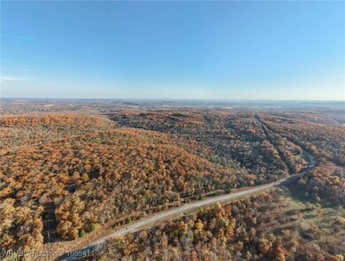 100351 S 4536 Rd, Vian, OK 74962 - photo 3