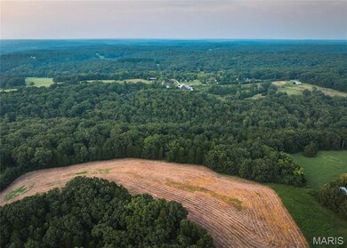 91.11 Acres Lollar Branch Rd, Sullivan, MO 63080 - photo 7