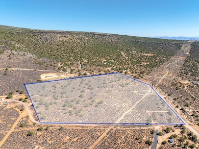 4-web-or-mls-Topaz Road 13 Acre Lot (4)