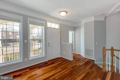 41946 Blue Flag Terrace, Stone Ridge, VA 20105 - photo 5