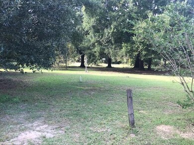 IMG_1543