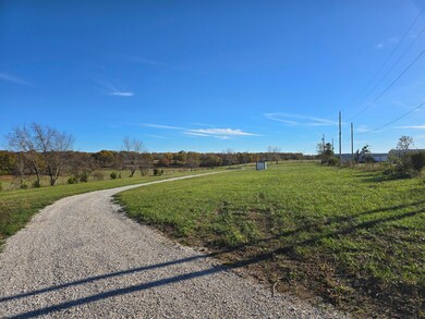 13621 Farm Road 2175, Cassville, MO 65625 - photo 2