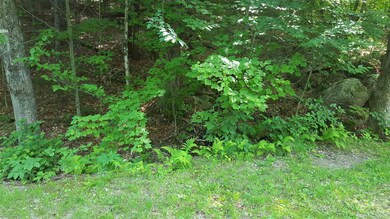 Lot 03-03-01 Thornton Gore Rd, Thornton, NH 03285 - photo 6