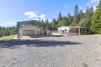2-web-or-mls-423-pine-tree-dr