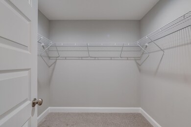 207 Ava Way, Shelbyville, TN 37160 - photo 5