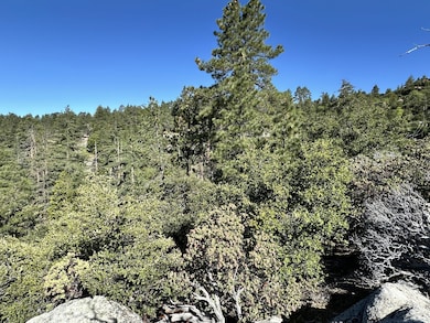 0 Mountain View unit 2011252, Idyllwild, CA - photo 3