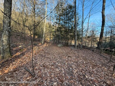 No Number Upper Cherrytown Rd, Rochester, NY 12446 - photo 7