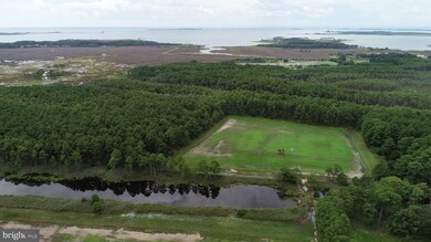 0 Toddville Rd unit 1002293242, Toddville, MD 21672 - photo 4