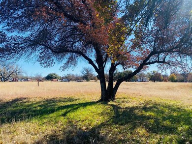 509 Hide Away Ln, Weatherford, TX 76088 - photo 4