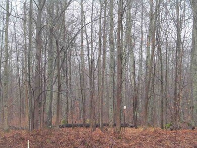 39.5 ON State Highway 52, Aniwa, WI 54408 - photo 4