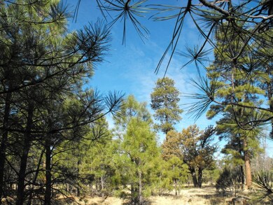 5 Lot 76 Juniper