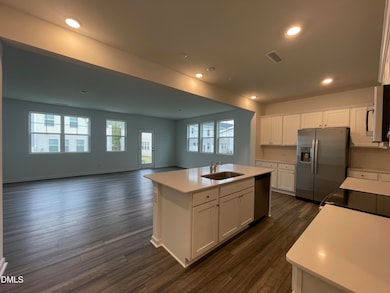 245 Lily Patch Ln, Smithfield, NC 27577 - photo 3