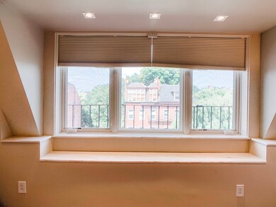 149 W Concord St unit 3, Boston, MA 02118 - photo 5