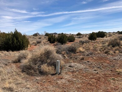 IMG-1199