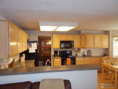 13477 Dexter Way, Thornton, CO 80241 - photo 5