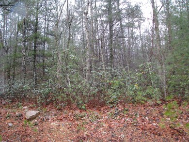 land pic 001