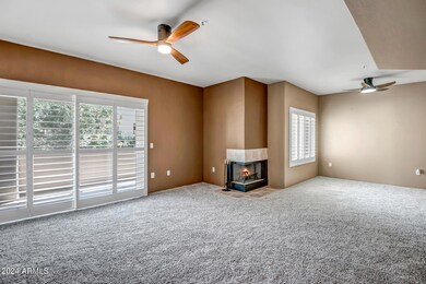 LARGE LIVING ROOM WITH FIREPLACE