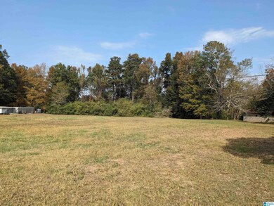 18 &19 County Highway 13 unit 18 & 19, Locust Fork, AL 35097 - photo 4