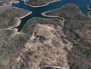 001-03317-000 Black Jack Trail, Mountain Home, AR 72653 - photo 3