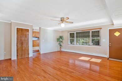 4306 Ranger Ave, Temple Hills, MD 20748 - photo 4