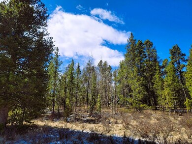 542 Thick Spike Rd, Fairplay, CO 80440 - photo 2