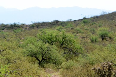 DSC_3220 (2)