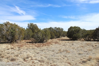 Jason Kempski SL Pines 6 (5)