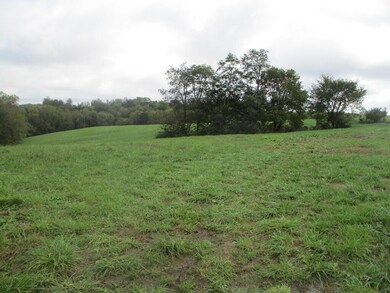 4097 Hilltop Rd, Ewing, KY 41039 - photo 7