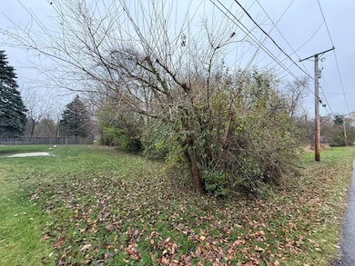 unlisted-address, Glen Ellyn, IL 60137 - photo 4