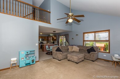 1911 Spring Ridge Dr unit 3, Plainfield, IL 60586 - photo 6