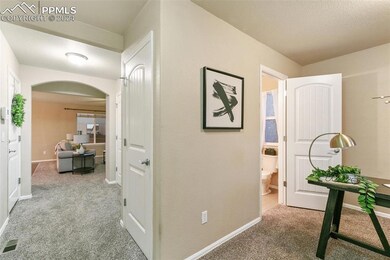 10409 Desert Bloom Way, Colorado Springs, CO 80925 - photo 6